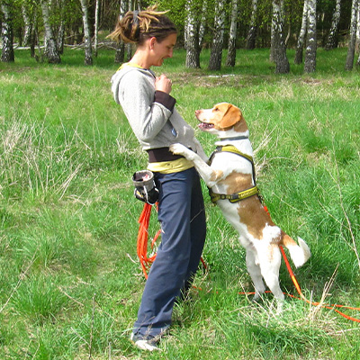 Hund-05-400x400