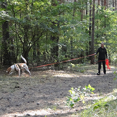 Hund-12-400x400